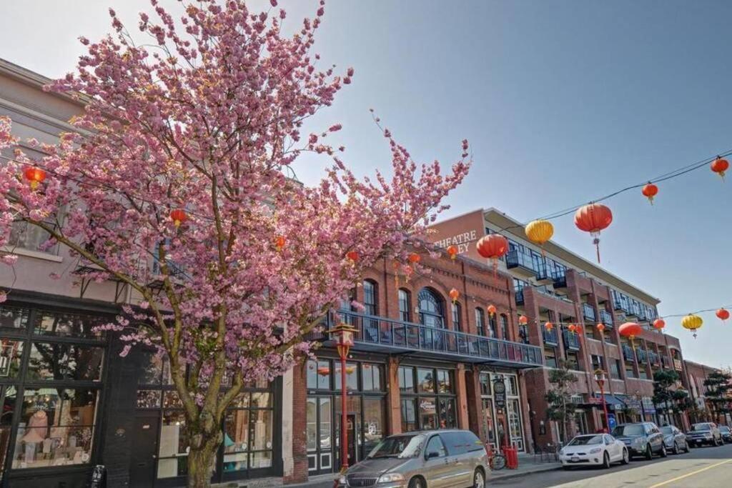 فكتوريا Clean 3Rd Floor Executive 1 Bedroom Apt In Old Town China Town المظهر الخارجي الصورة